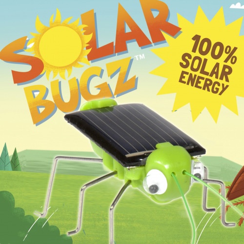 Solar bugs