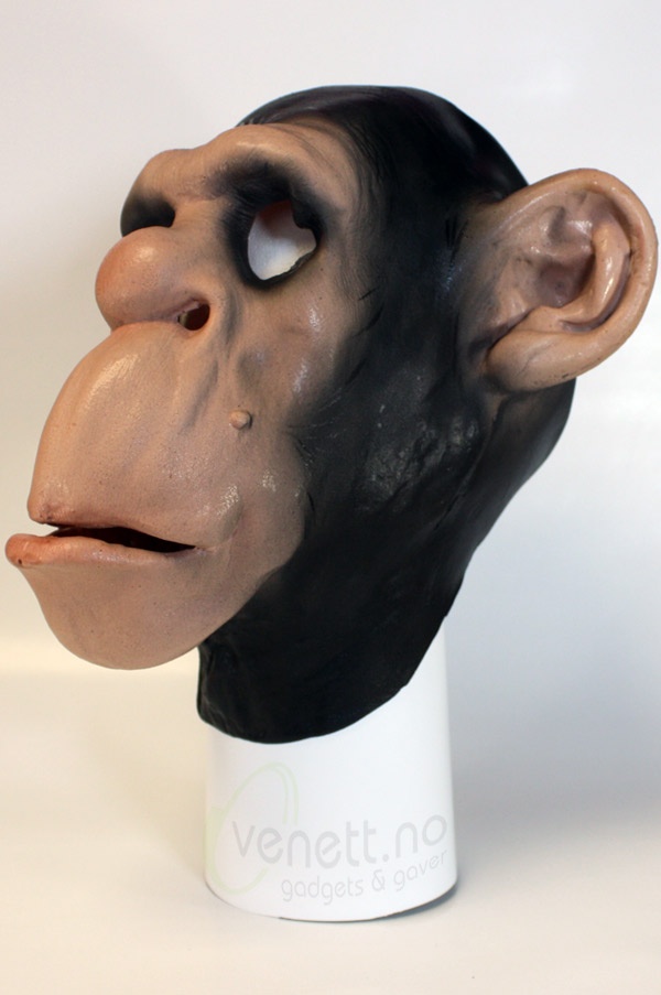 Chimpanzee